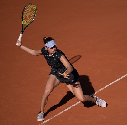 仅可以根据 仅可以根据